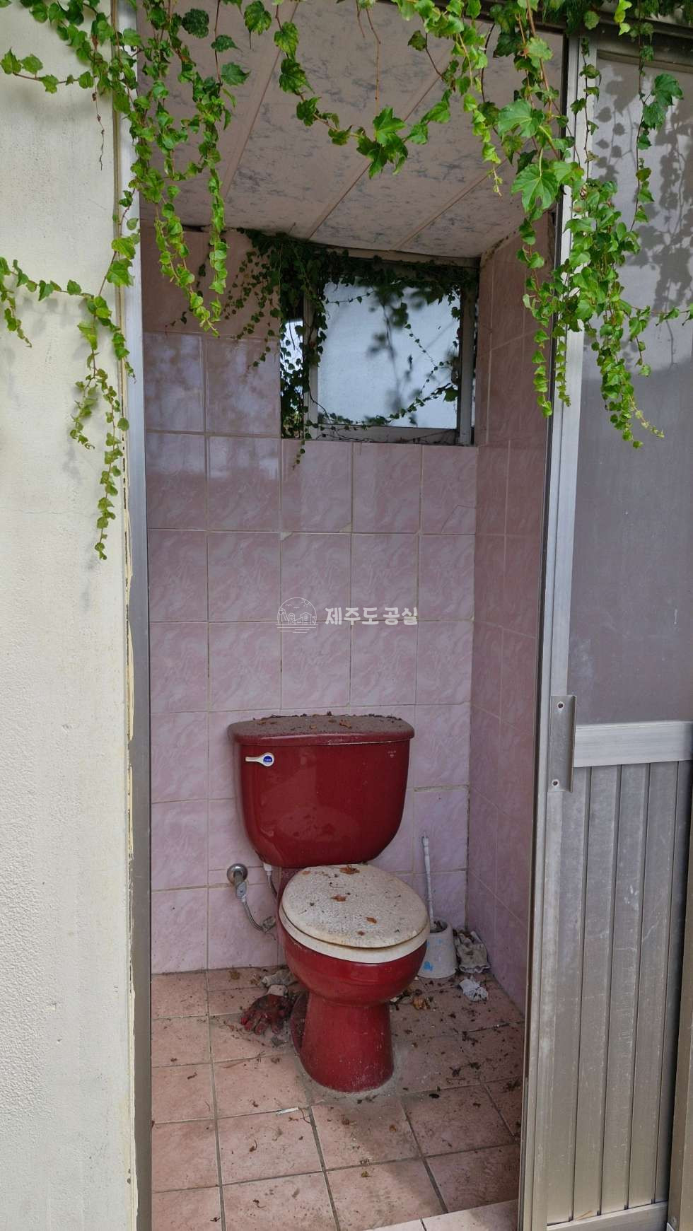 제주 제주시 한림읍 월령리 [한림읍월령리] 1억원대/월령선인장마을/제주구옥/농가주택/매매 매매 매물번호 10361 사진 11