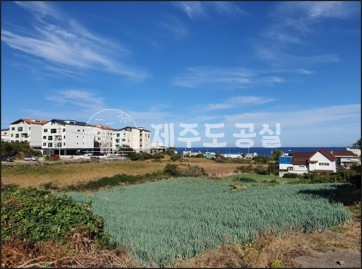 제주 제주시 외도일동 [외도일동] 10억원/임대수익좋은/계명마을/오션뷰/임대수익형/다가구주택/상가주택/급매 매매 매물번호 10379 사진 3