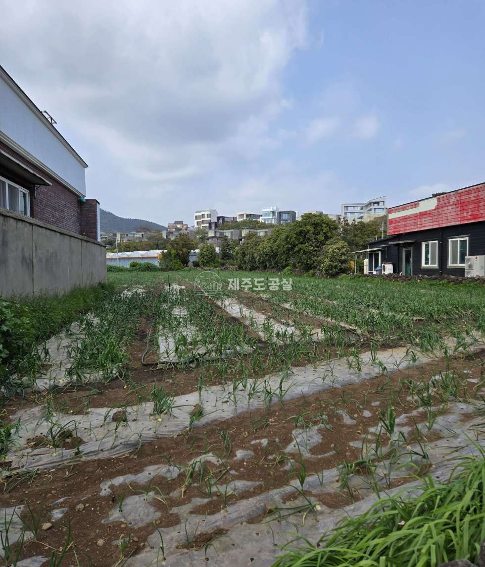 제주 서귀포시 하예동 [하예동] 10억원대/663평/하예하동마을/2차선접/노출도최상/상가주택부지/집지을땅/매매 매매 매물번호 10629 사진 3