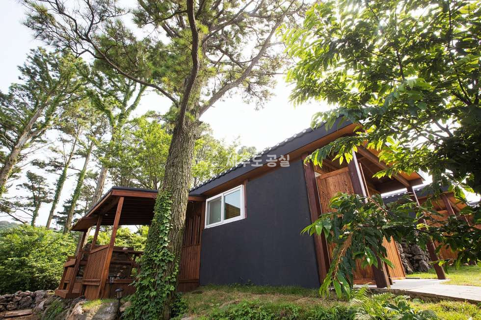 제주 제주시 애월읍 소길리 [애월읍소길리] 성업중인펜션/수영장/자쿠지/농어촌민박/단독주택/독채5동/양도양수/매매 매매 매물번호 10675 사진 5