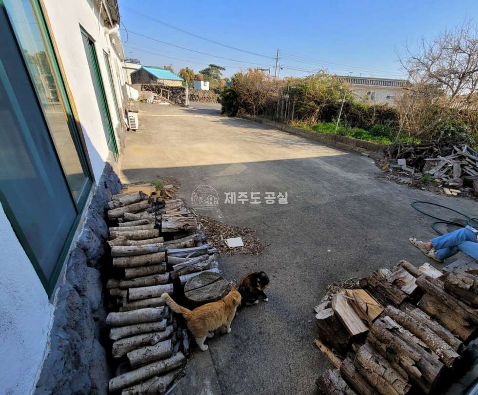 제주 제주시 한경면 신창리 [한경면신창리] 2억원대/게스트하우스/쉐어하우스/제주도구옥/객실6개/매매 매매 매물번호 10685 사진 3