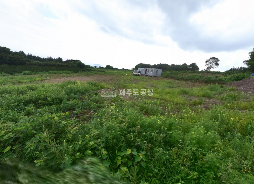 제주 서귀포시 서홍동 [서홍동] 7억원대/헬스케어타운인접/1700평대/평당50만원대/전원주택부지/집지을땅/급매 매매 매물번호 11025 사진 3