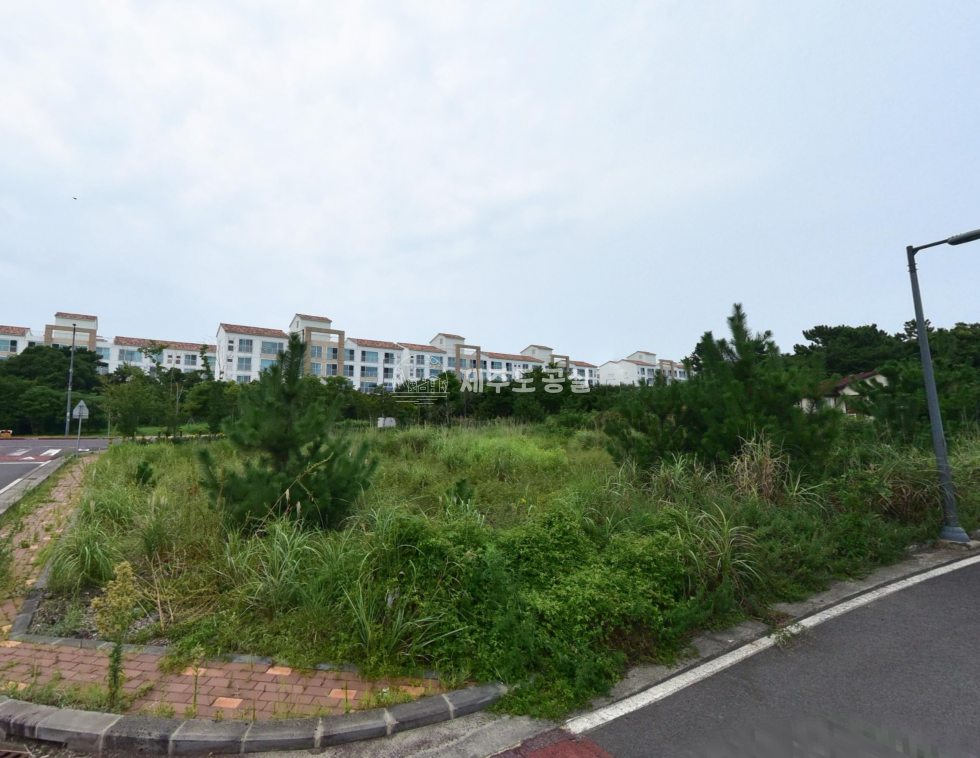 제주 서귀포시 대정읍 보성리 [대정읍보성리] 7억원대/제주영어교육도시개발구역/90평/대지/매매 매매 매물번호 11033 사진 3