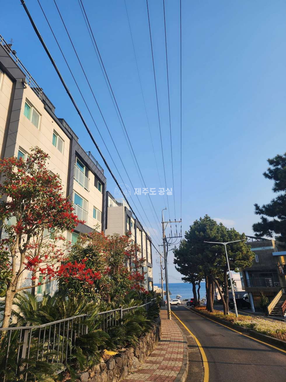 제주 서귀포시 법환동 212 105동 [법환동] 2억원대/법환포구인근/신축급컨디션/디자인뷰/단지형빌라/쓰리룸/매매 매매 매물번호 10507 사진 12