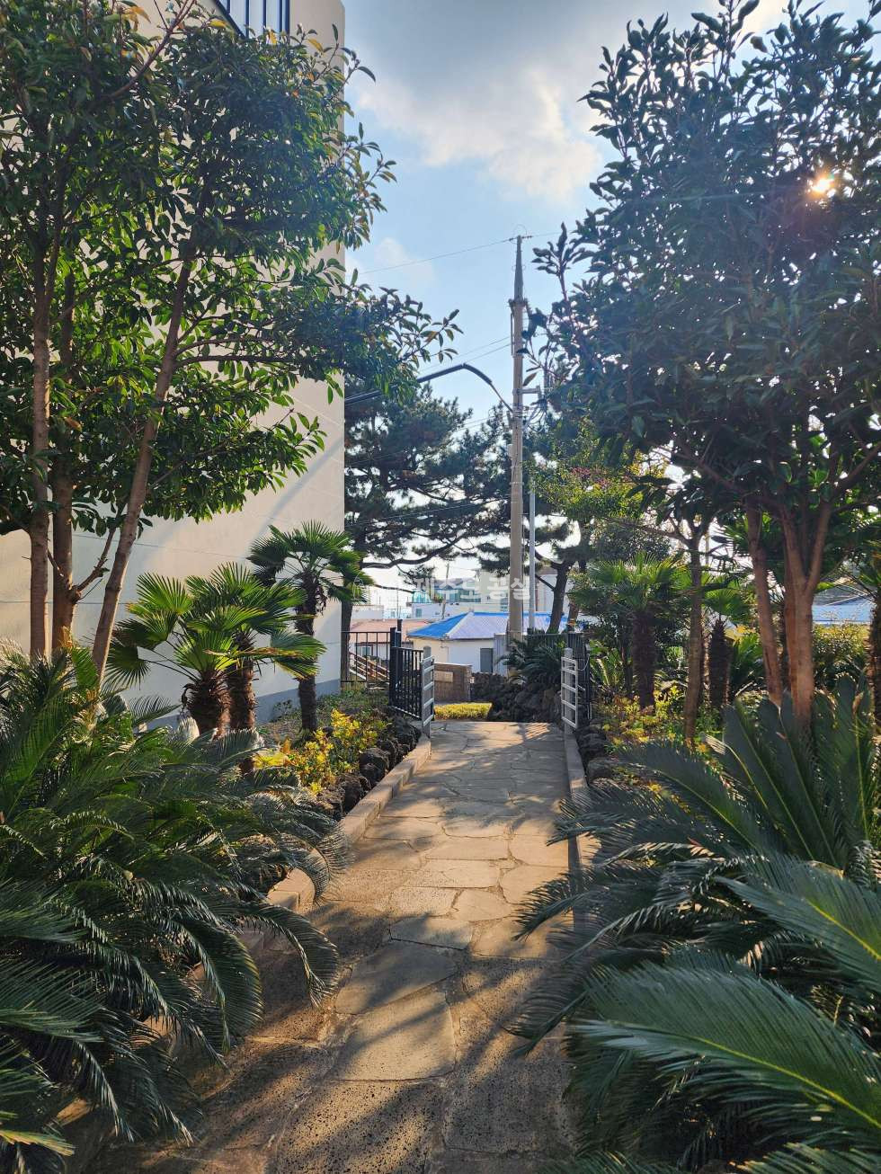 제주 서귀포시 법환동 212 105동 [법환동] 2억원대/법환포구인근/신축급컨디션/디자인뷰/단지형빌라/쓰리룸/매매 매매 매물번호 10507 사진 14
