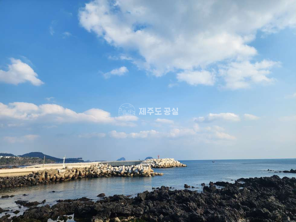 제주 서귀포시 법환동 212 105동 [법환동] 2억원대/법환포구인근/신축급컨디션/디자인뷰/단지형빌라/쓰리룸/매매 매매 매물번호 10507 사진 16