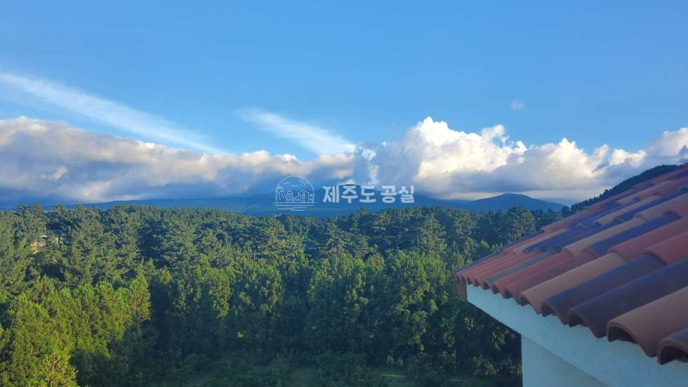 제주 제주시 오라이동 1540-1 103동 [오라이동] 연북로인접/한라산뷰/오션뷰/숲세권/방5/고급연립주택/복층/방5/풀옵션/년세 연세 매물번호 10637 사진 2