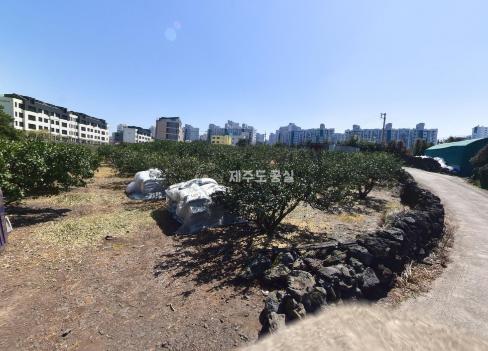 제주 제주시 노형동 [노형동] 20억원대/1100평대/월광로인접/백록초학군/공동주택부지/타운하우스부지/다용도사업부지/급매 매매 매물번호 11044 사진 1