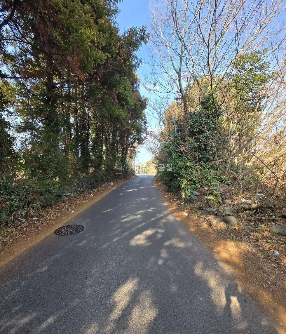 제주 제주시 도남동 [도남동] 4억원대/연북로인접/124평/기반시설완비/집지을땅/토지/매매 매매 매물번호 11052 사진 3
