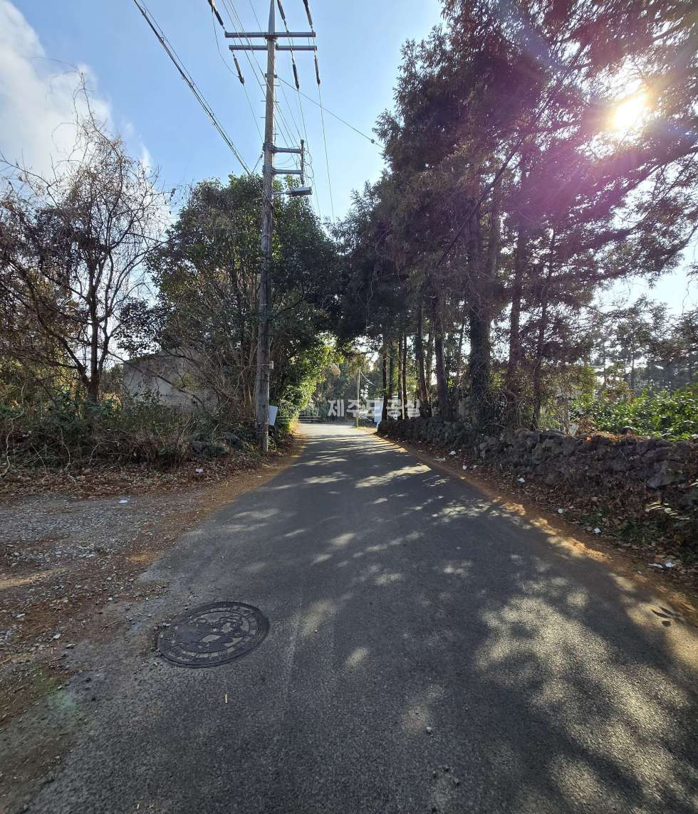 제주 제주시 도남동 [도남동] 4억원대/연북로인접/124평/기반시설완비/집지을땅/토지/매매 매매 매물번호 11052 사진 4