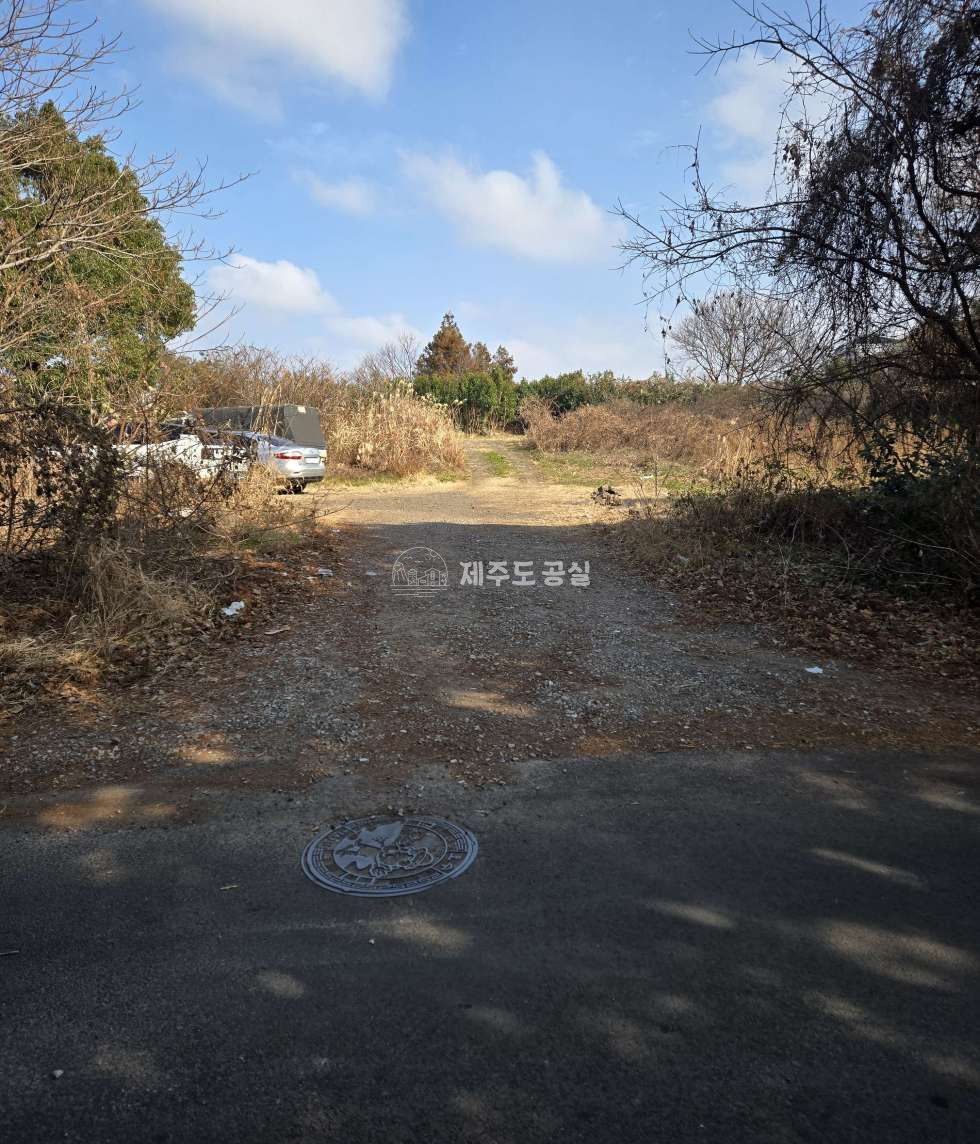 제주 제주시 도남동 [도남동] 4억원대/연북로인접/124평/기반시설완비/집지을땅/토지/매매 매매 매물번호 11052 사진 5