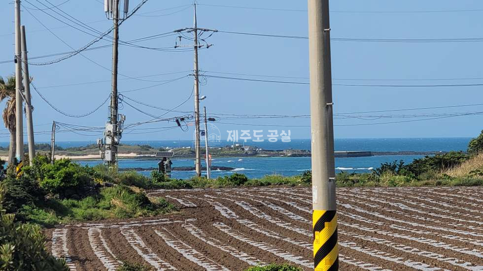 제주 제주시 구좌읍 종달리 종달리/건축가능한/오션뷰/별장/펜션부지 매매 매물번호 10051 사진 1