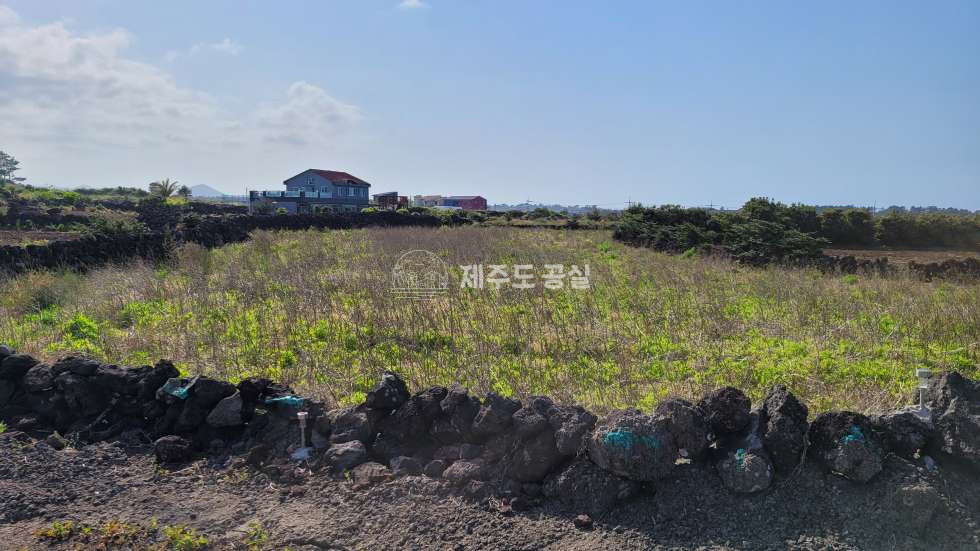 제주 제주시 구좌읍 종달리 종달리/건축가능한/오션뷰/별장/펜션부지 매매 매물번호 10051 사진 2