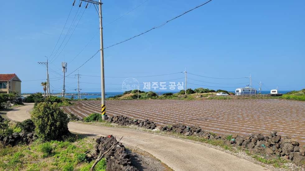 제주 제주시 구좌읍 종달리 종달리/건축가능한/오션뷰/별장/펜션부지 매매 매물번호 10051 사진 3