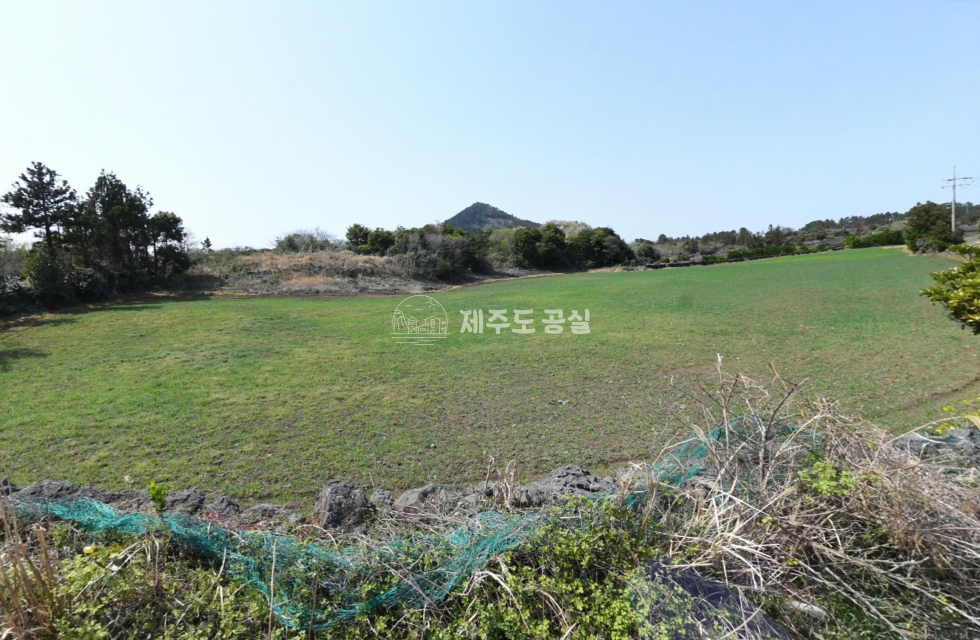 제주 제주시 구좌읍 한동리 [구좌읍한동리] 급매/8천만원대/비자림인근/270평/도로넓게접한/집지을땅/급매 매매 매물번호 10945 사진 1