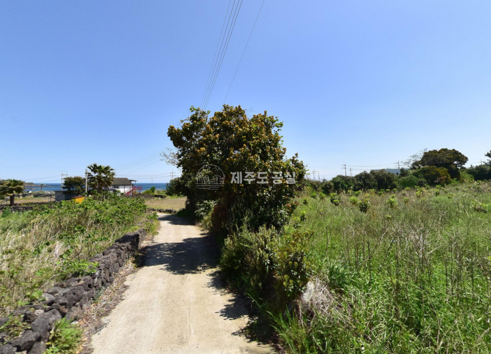 제주 서귀포시 남원읍 신흥리 [남원읍신흥리] 9억원/795평/평당125만원/일주동로인접/집지을땅/급매 매매 매물번호 11117 사진 3