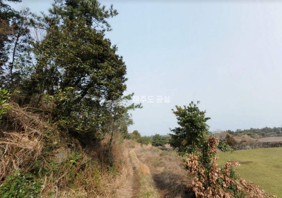 제주 제주시 구좌읍 한동리 [구좌읍한동리] 4천만원대/765평/저렴한/농사용/맹지/초급매 매매 매물번호 10986 사진 2