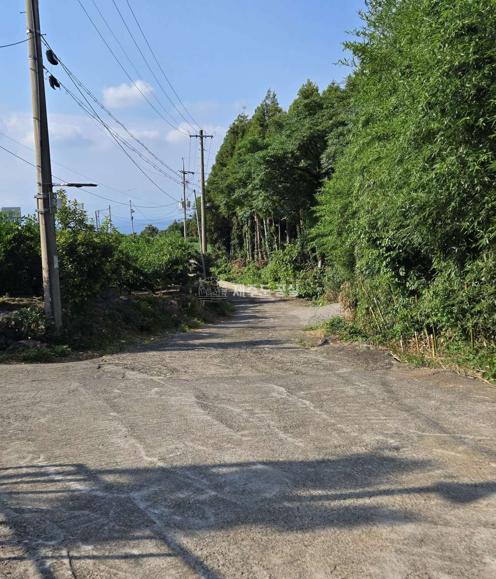 제주 제주시 애월읍 광령리 [애월읍광령리] 제주관광대학교인근/평화로/넓은나대지/제조업가능/60평/근생창고/임대 연세 매물번호 11293 사진 6