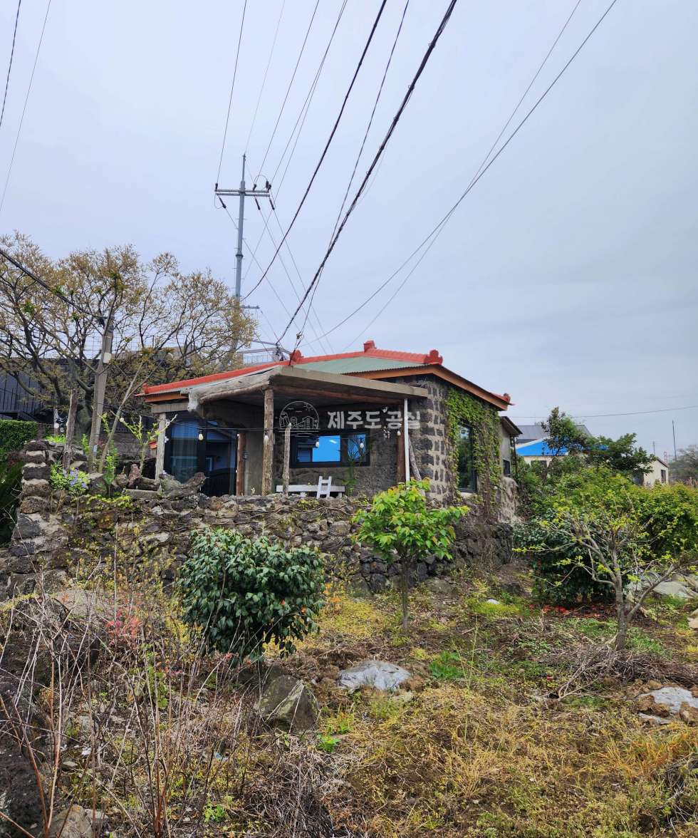 제주 제주시 조천읍 조천리 조천읍/제주구옥/임대수익가능/미등기건물/매매 매매 매물번호 10073 사진 11