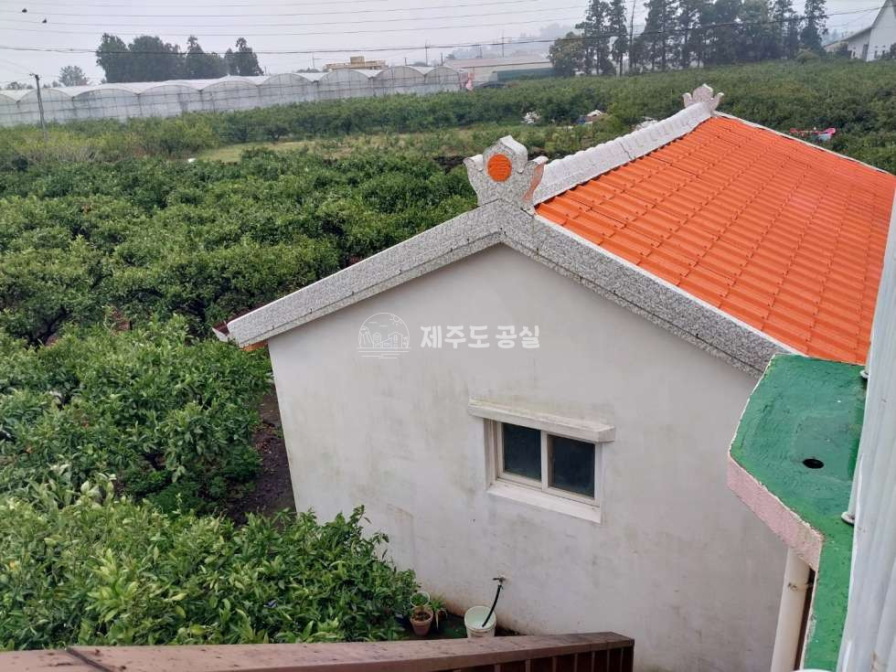 제주 서귀포시 남원읍 하례리 2억원대/귤로유명한/남원읍하례리/효돈하례마을/150평/귵밭/과수원/매매 매매 매물번호 10125 사진 2
