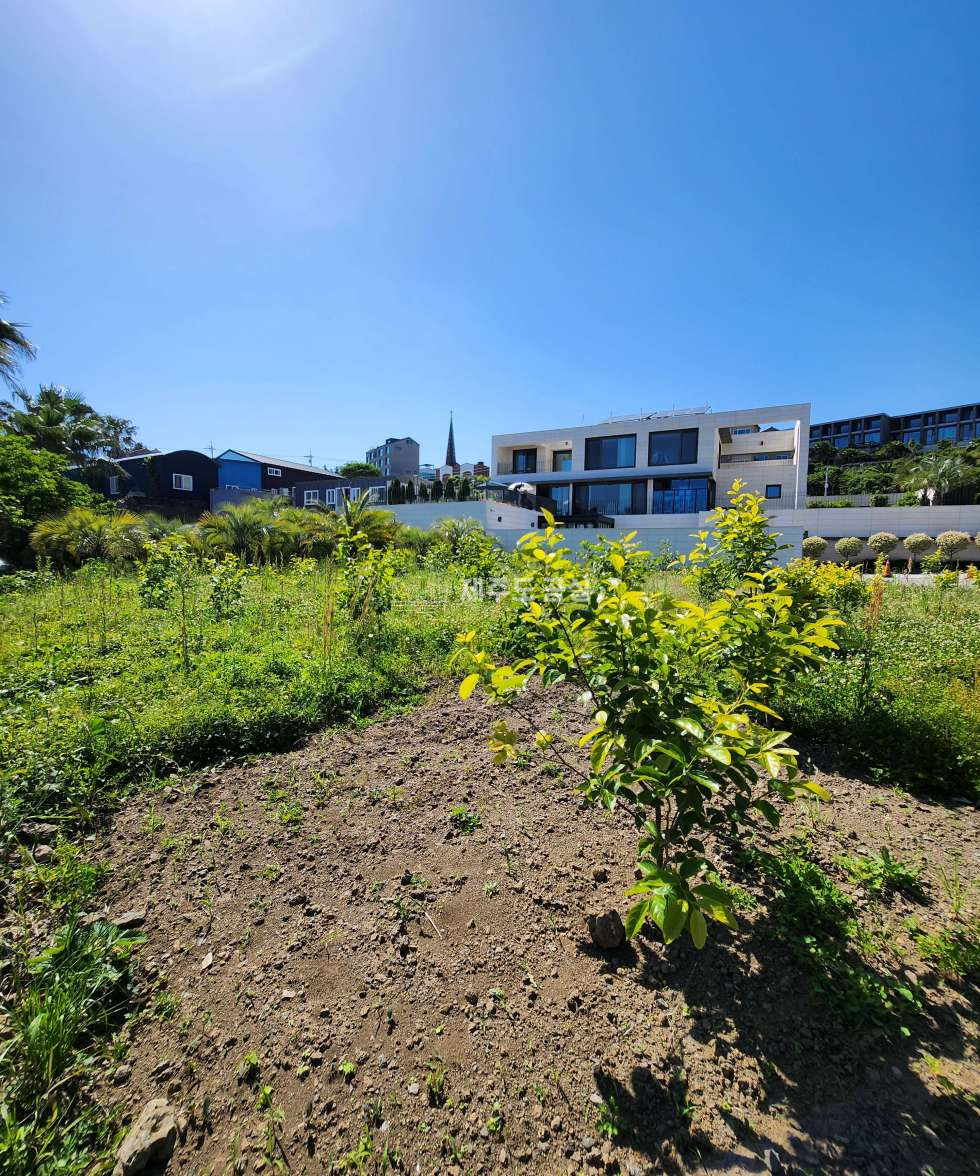 제주 서귀포시 동홍동 3억원/남주고인근/180평대/집지을땅/기반시설완비/매매 매매 매물번호 10140 사진 2